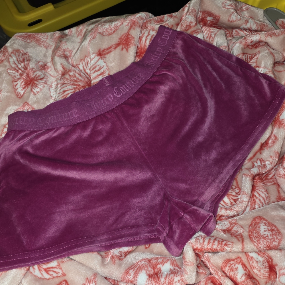 Juicy Couture Women's Rich Purple Velour Shorts